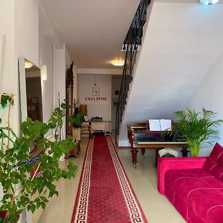 Casa Pino Hotel Брашов Екстериор снимка