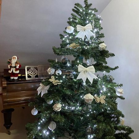 Casa Pino Hotel Брашов Екстериор снимка